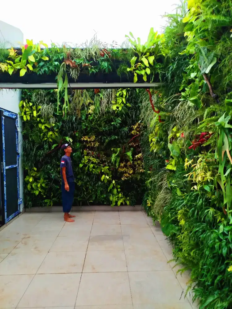 Taman vertikal garden penyiraman otomatis