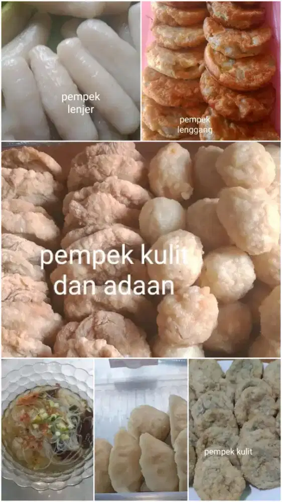 Aneka pempek Palembang