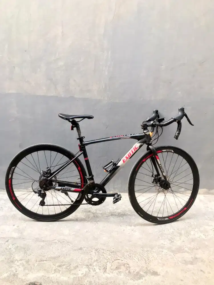 Sepeda road bike Exotic