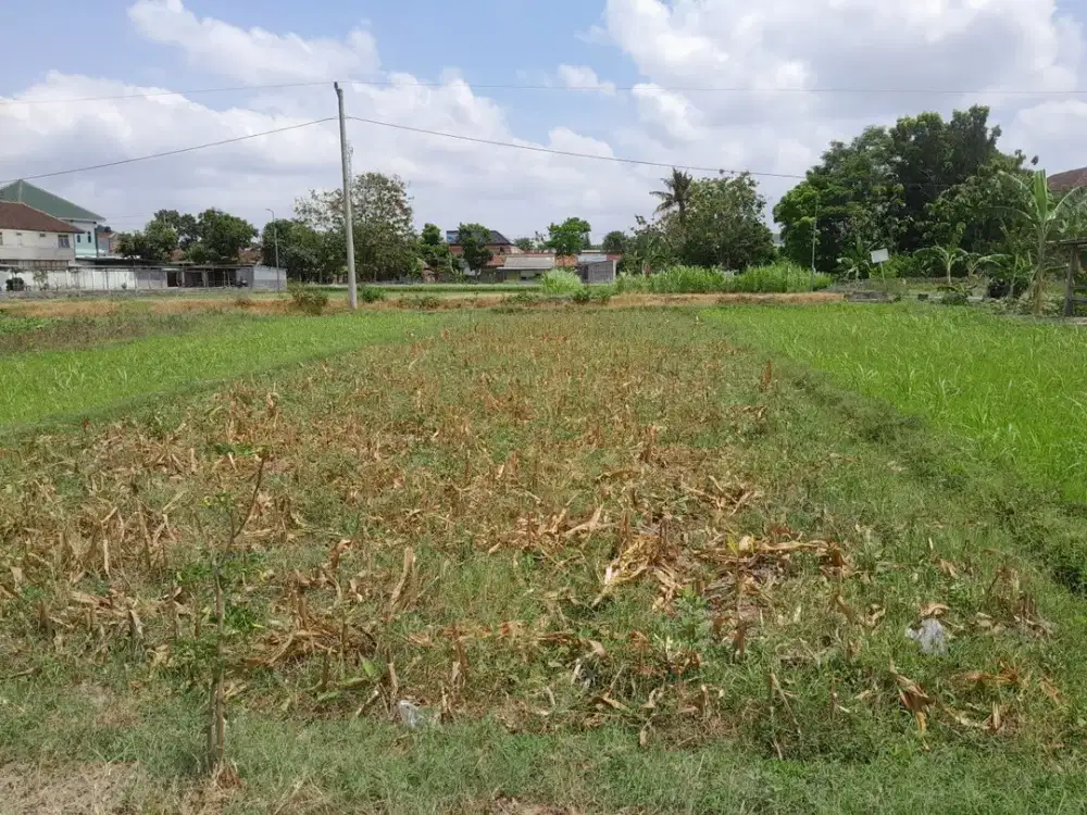 Tanah Pekarangan di Jalan Parangtritis km.5,5 Panggungharjo Sewon Bantul