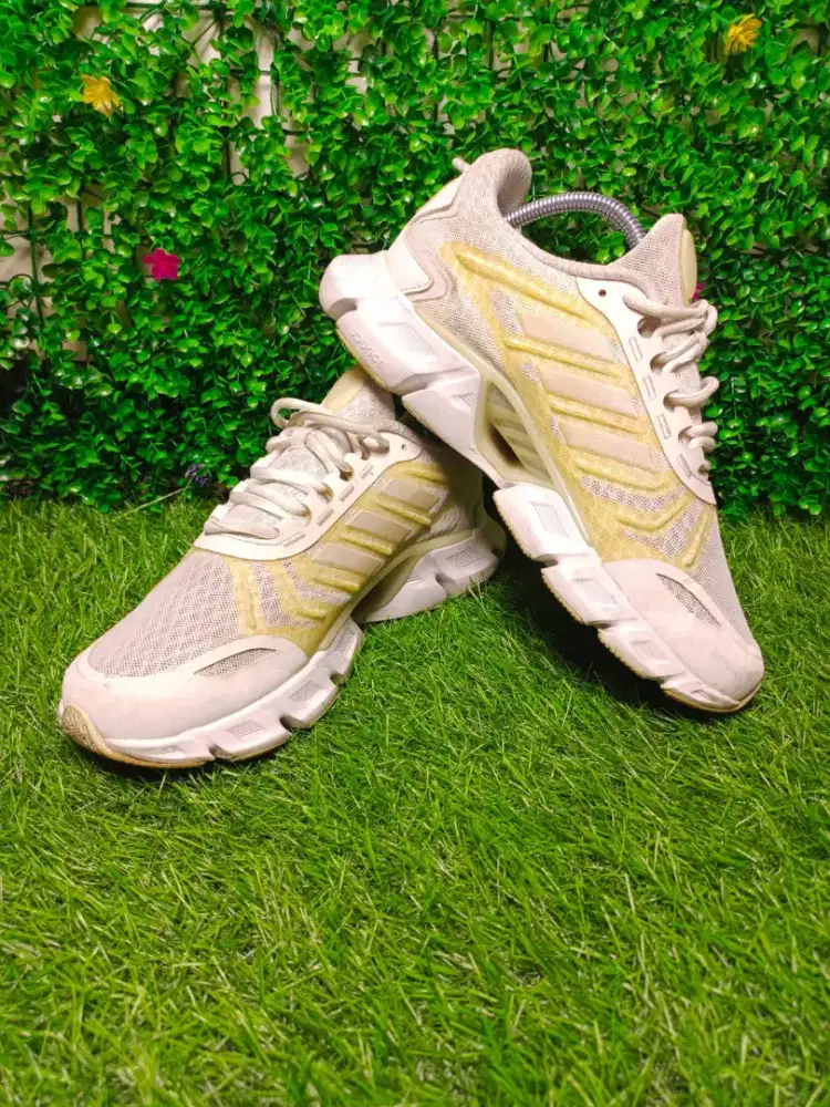 Sepatu wanita Adidas climacool
