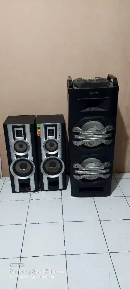 Speaker polytron