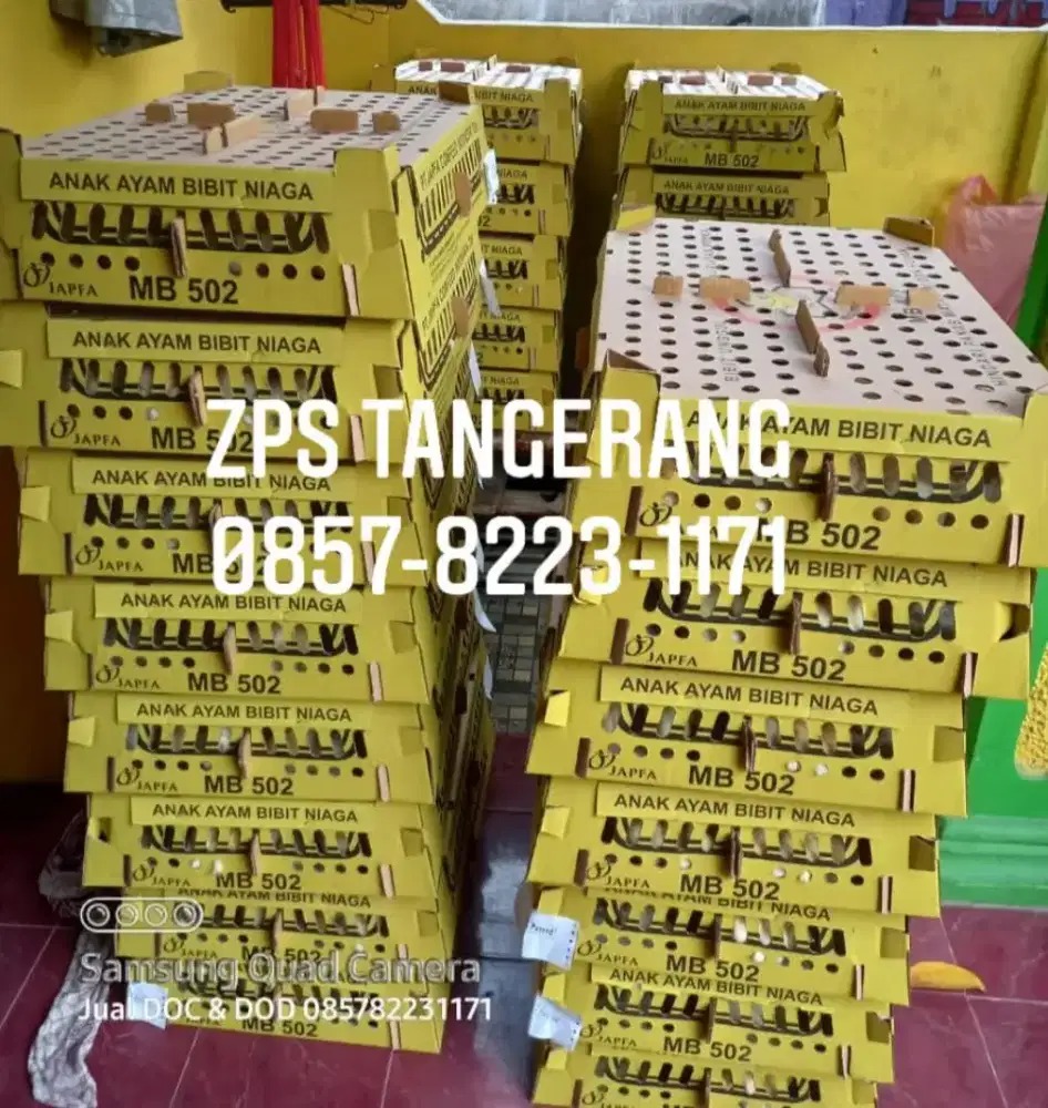 DOC Ayam Pejantan Super JAPFA