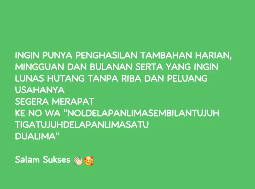 Penghasilan Tambahan dan Peluang Usaha