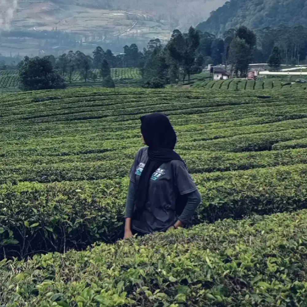 mencari lowongan pekerjaan