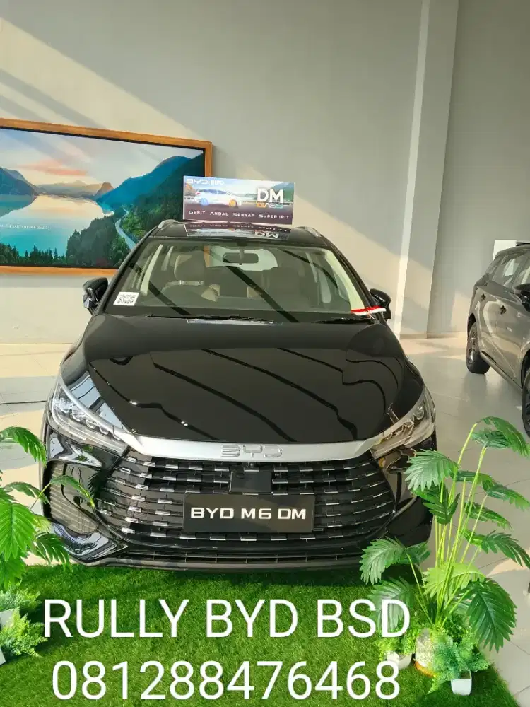 DIJUAL CEPAT SJ BYD M6MD DP MINIM