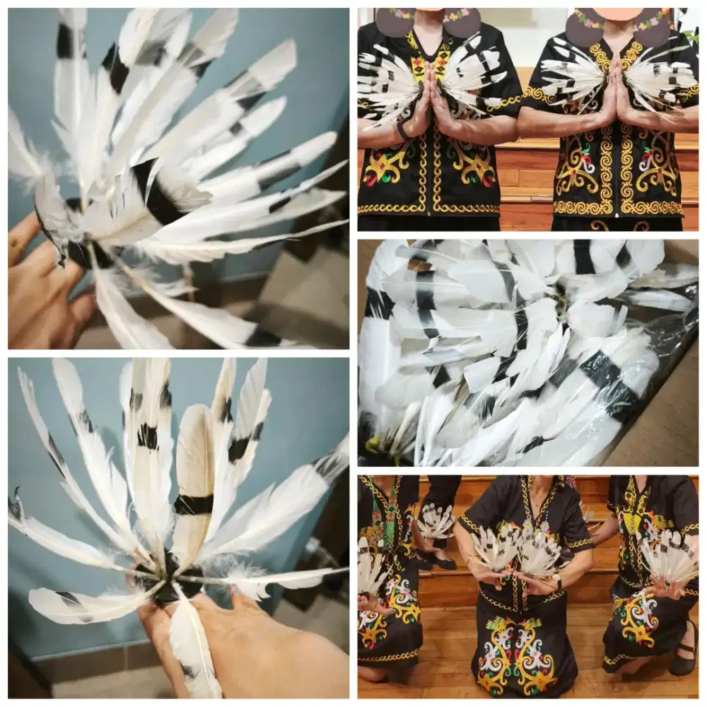 Aksesoris cincin tari bulu dayak Kalimantan. 4 pasang (8 pcs).
