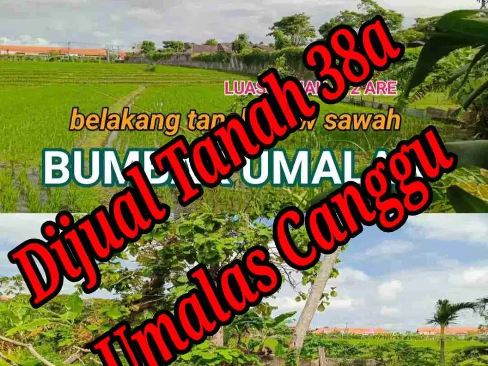 Dijual Tanah 38a Lokasi di Umalas Canggu Bali
