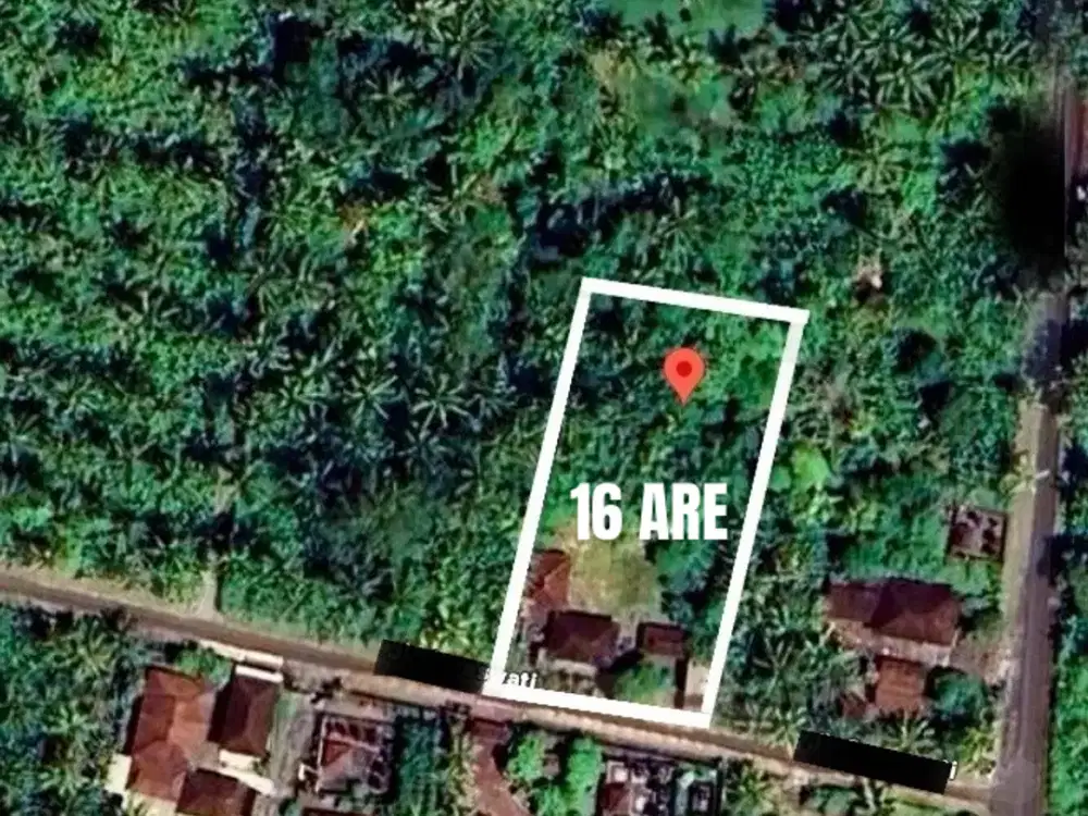 ID:H-55 Disewakan Tanah 16 Are View Laut Pekutatan Jembrana Negara Bali