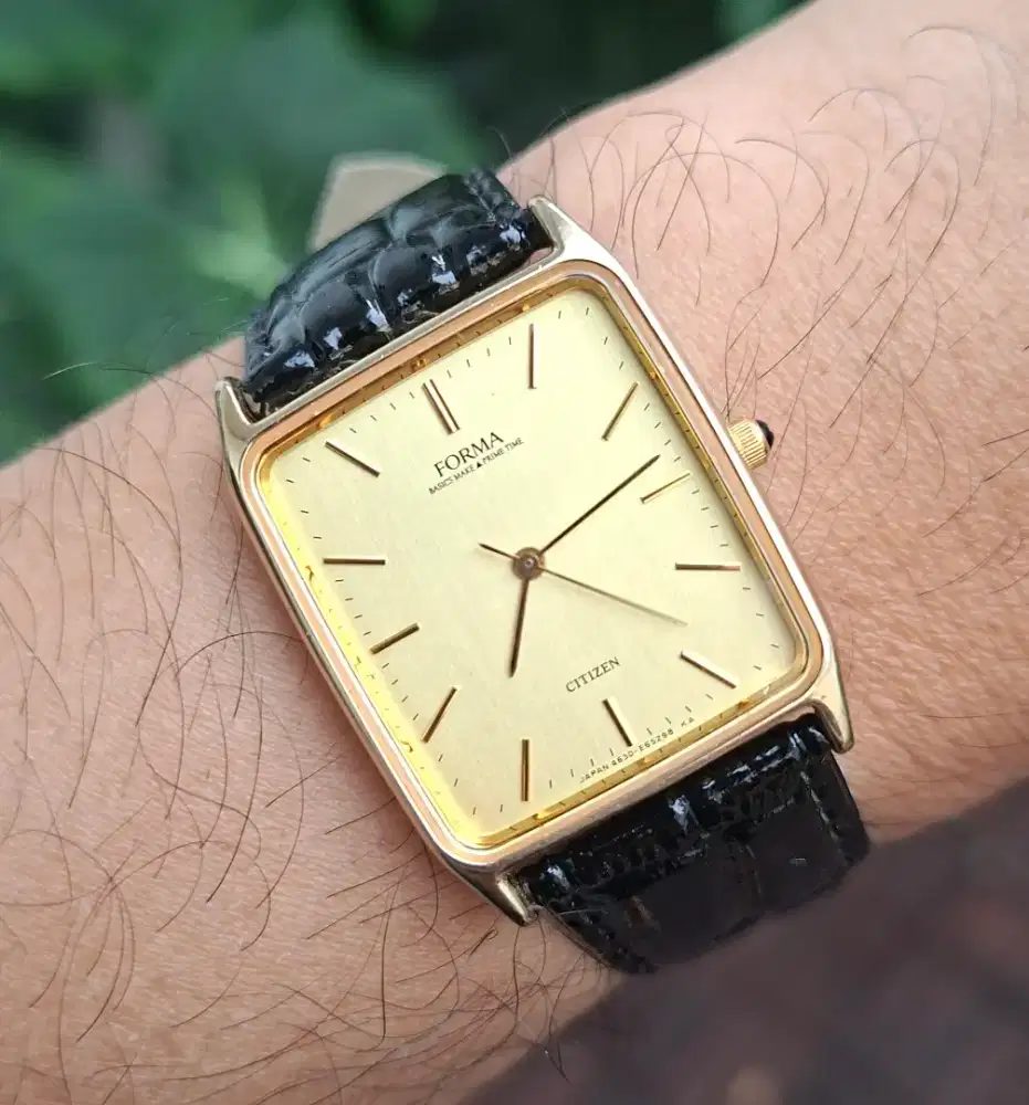 Citizen forma tank