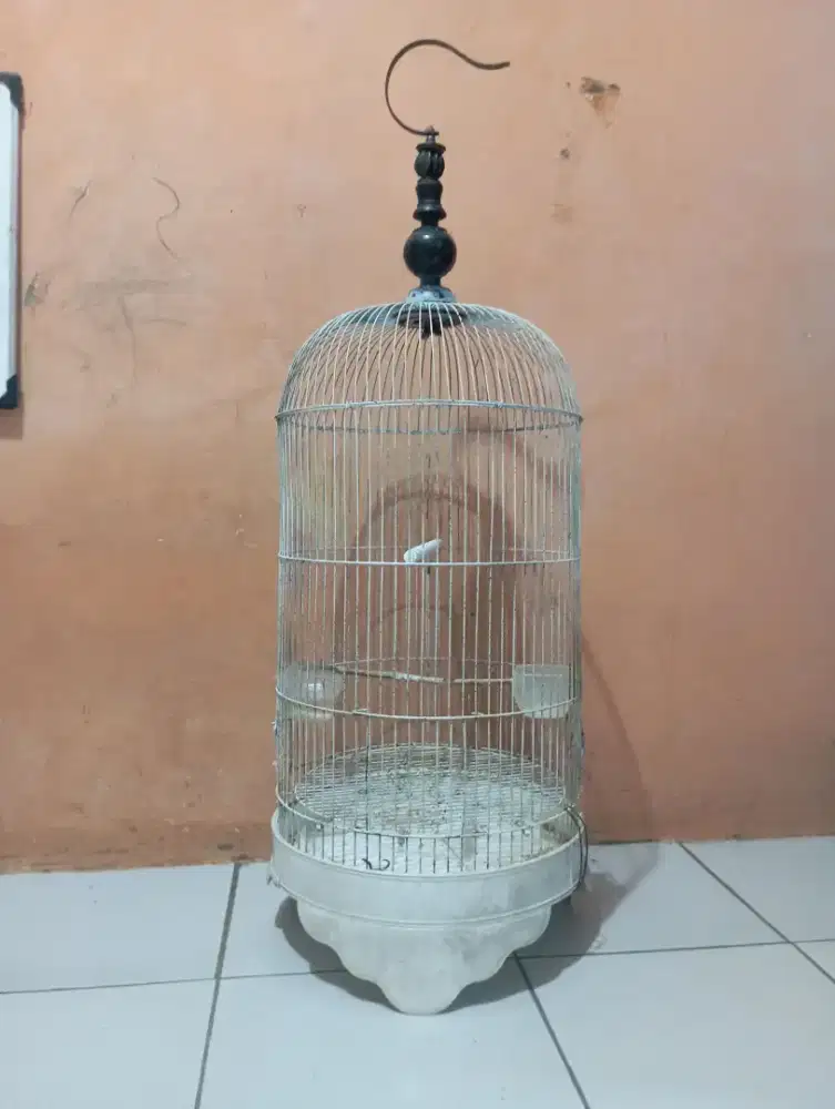 Kandang burung lovebird