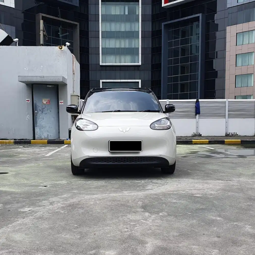 Wuling bingou lite 333 ccs2