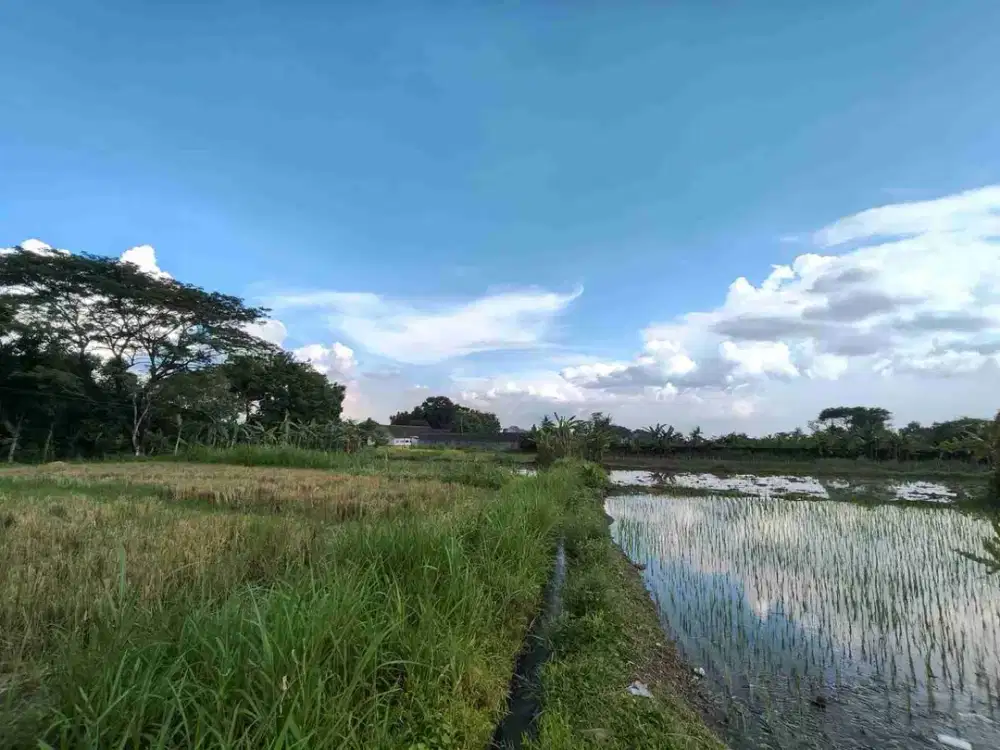 Di Jual Tanah Strategis, Prospektiv View Sawah, Gunung Merapi Area Jalan Kaliurang-Jalan Palagan Sardonoharjo Ngaglik Sleman