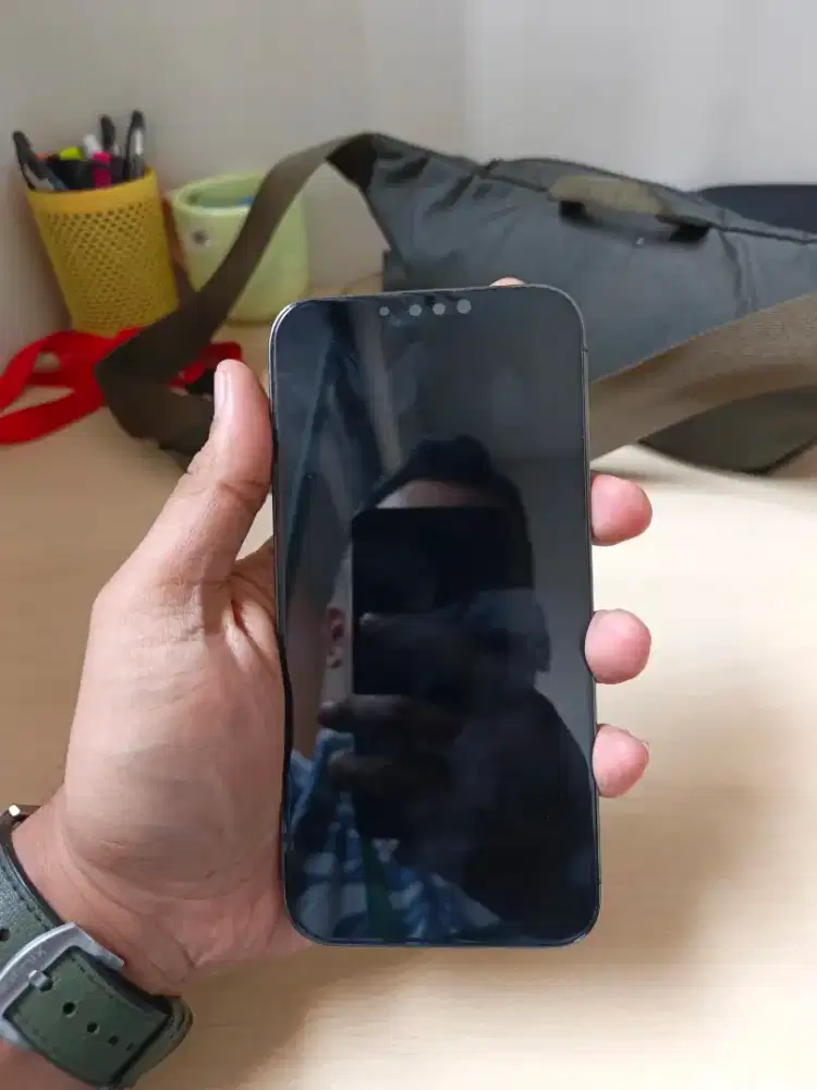 Iphone 13 Promax 128