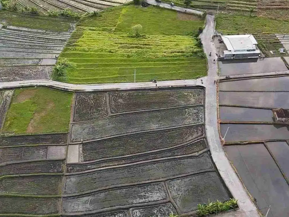 TANAH PREMIUM VIEW SAWAH PANTAI NYANYI - Thumbnail 4
