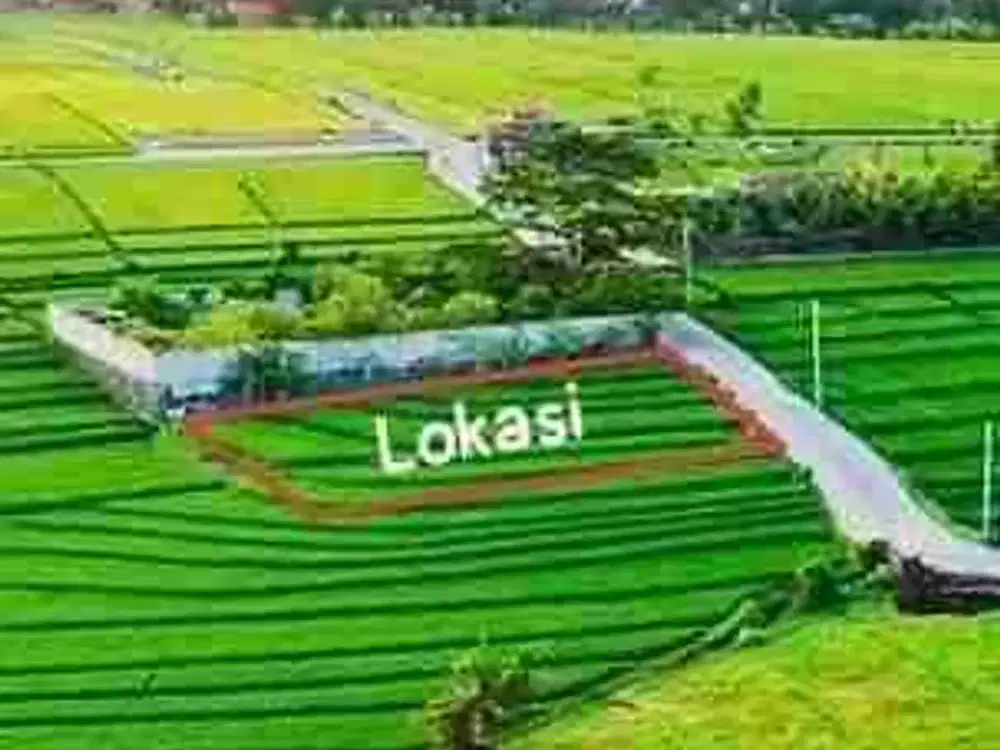 TANAH PREMIUM VIEW SAWAH PANTAI NYANYI - Thumbnail 5