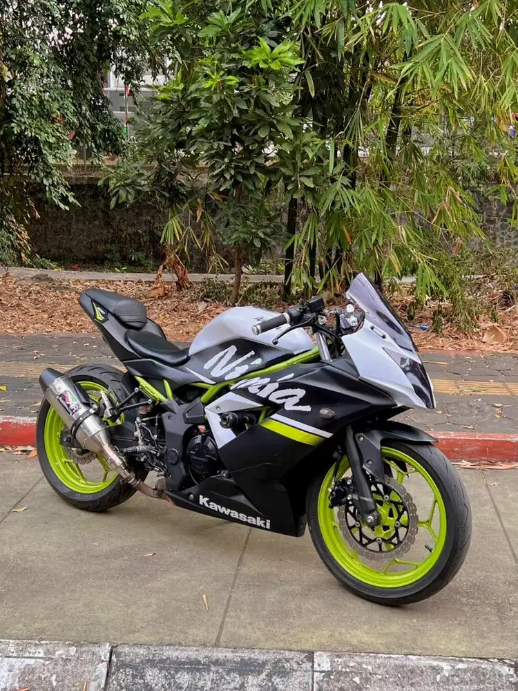 Kawasaki ninja 250 sl 2020