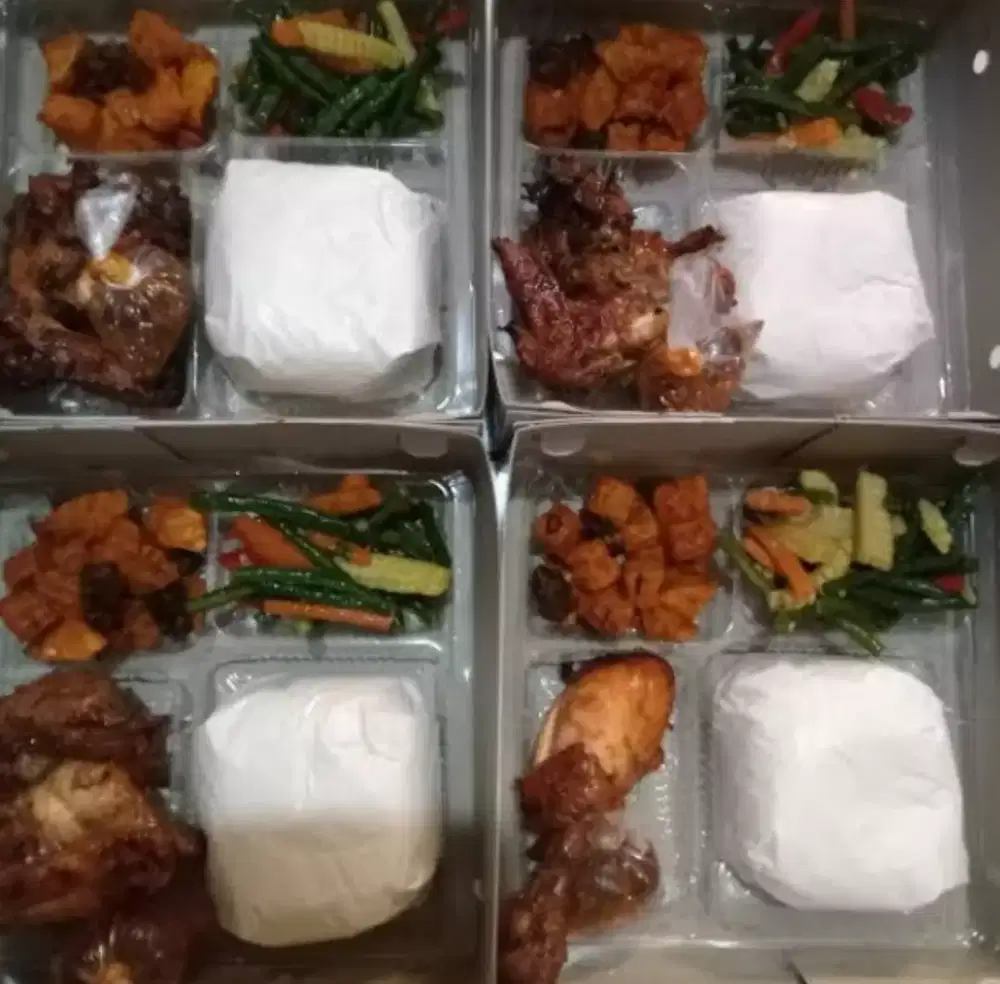 Terima Pesanan Nasi Kotak