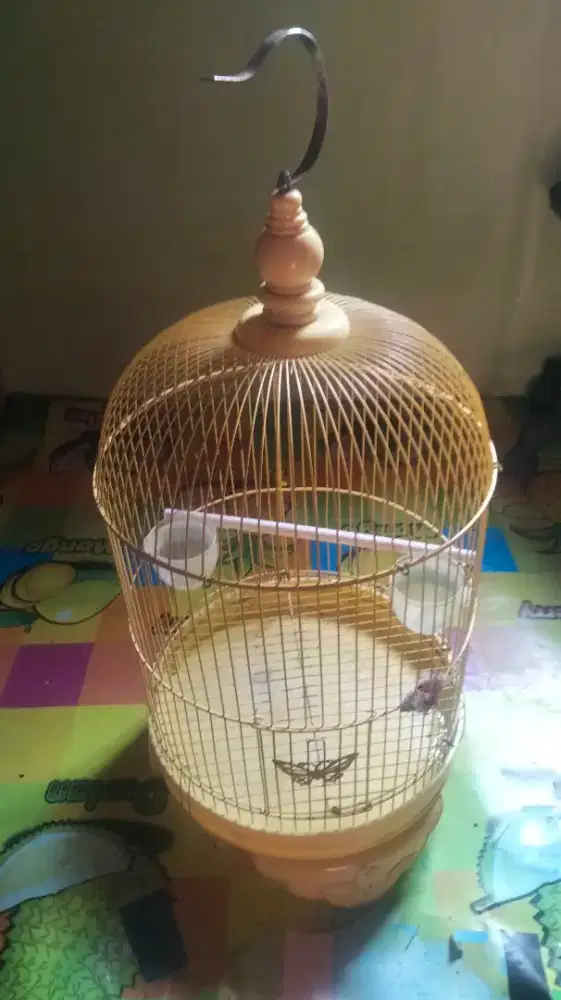 Sangkar burung Lovebird parkir dll