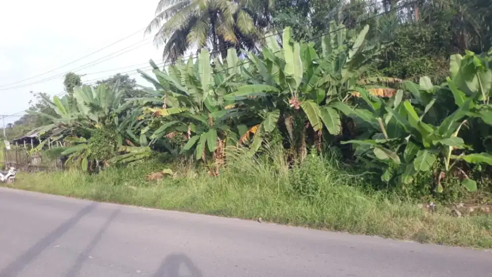 Tanah darat tepi jalan utama
