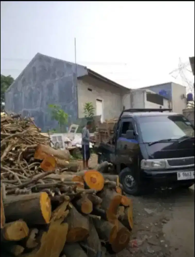 Jasa tebang pohon dan potong rumput