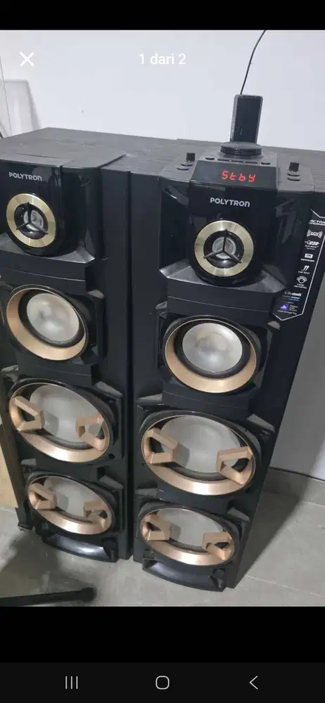 Speaker Polytron