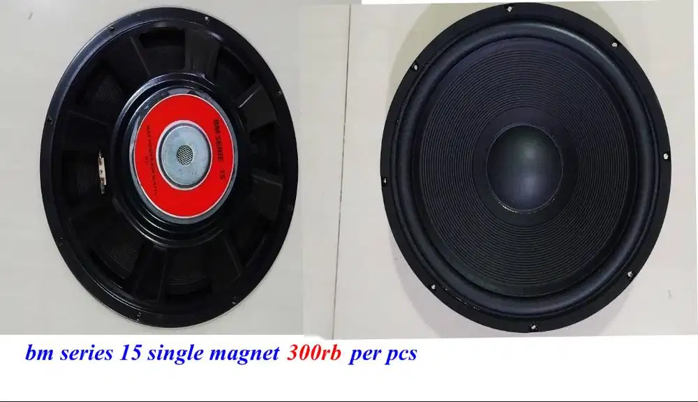speaker BM series 15 inch single magnet