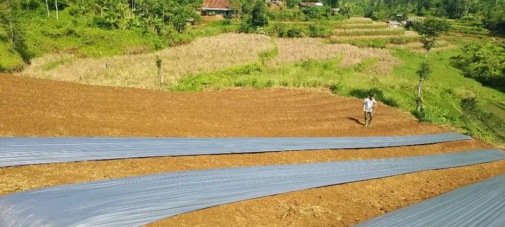 Cari lowongan kerja