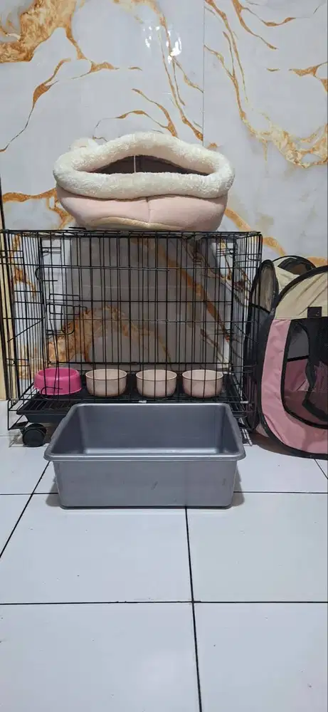 Paket Kandang Kucing