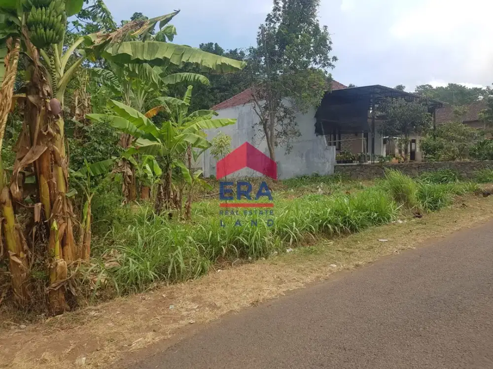 Dijual Tanah di Jalan Desa Gajahrejo Pasuruan