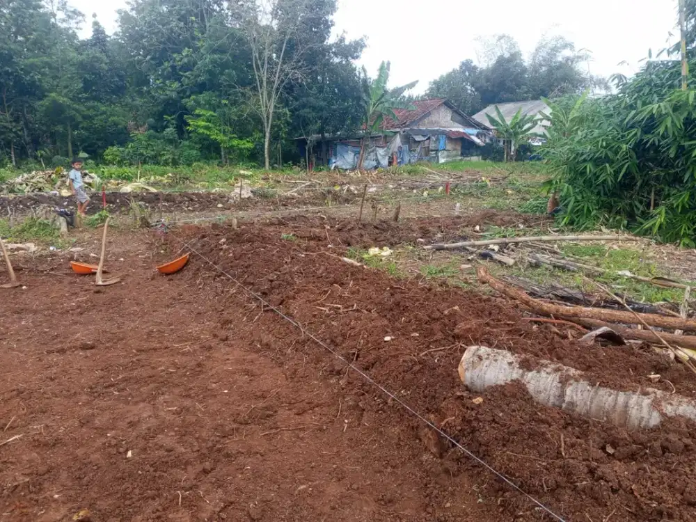 Bisa Cicil12x flat, Dijual Sangat Murah Tanah Kavling SHM Dekat Stasiun Jatake