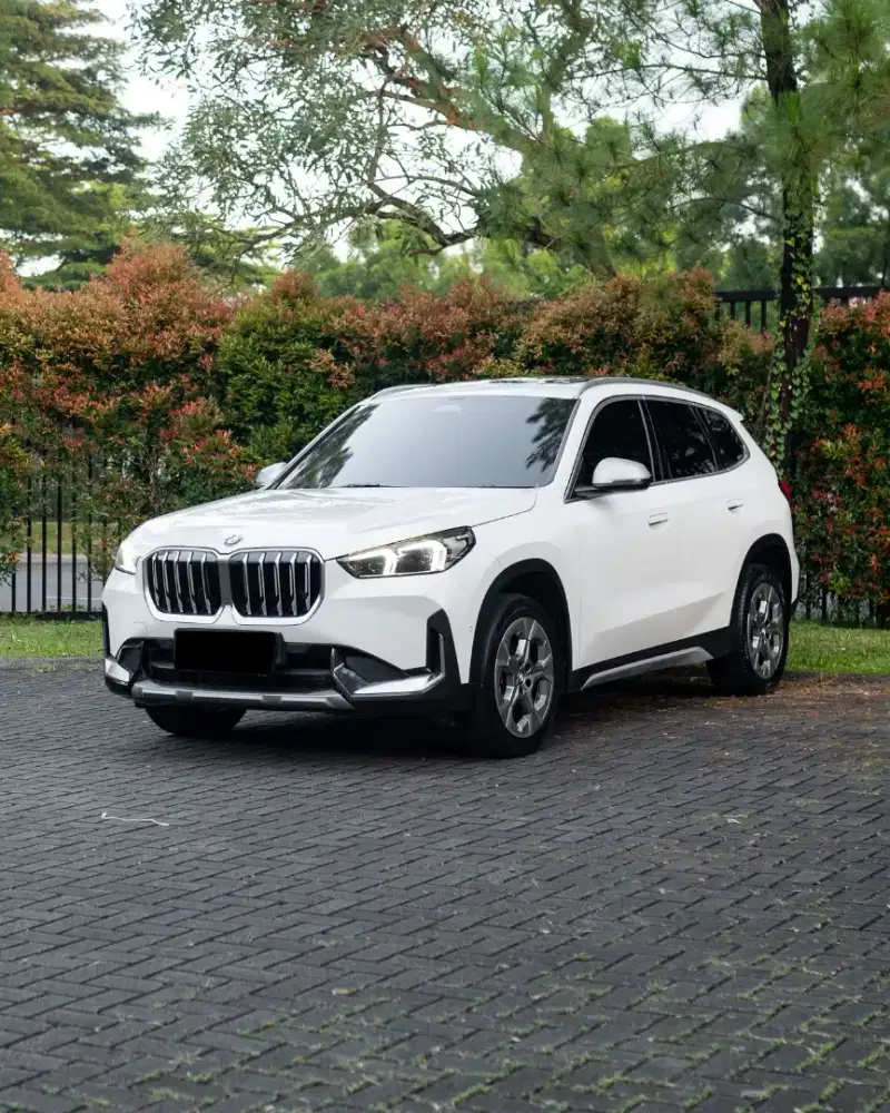 BmW X1 sDrive 18i XlineU11