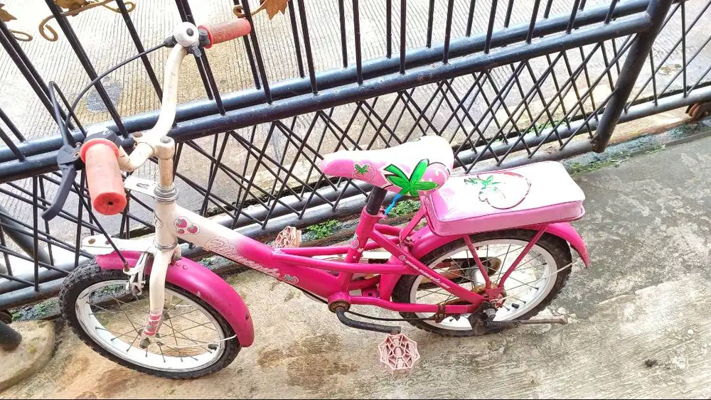Sepeda anak bekas