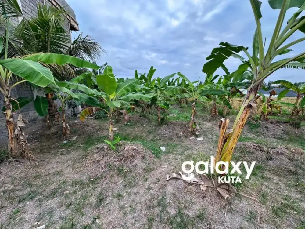 DIJUAL TANAH ASRI DI KELILINGI SAWAH DI SINGAKERTA UBUD GIANYAR