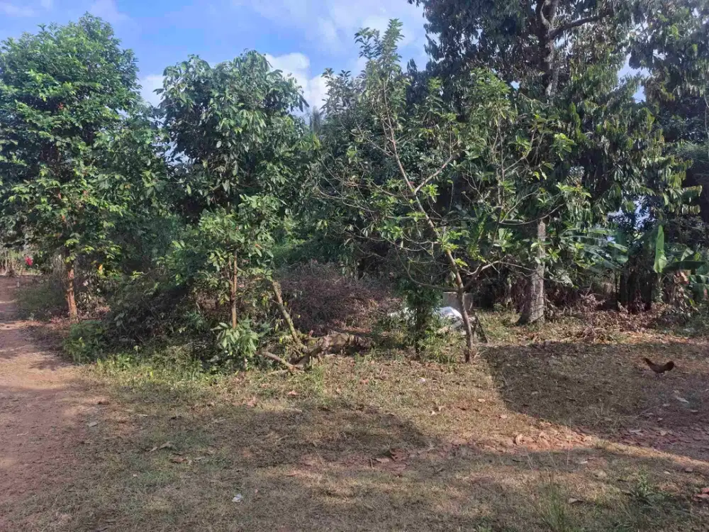 tanah 196 meter di raden gunawan hajimena
