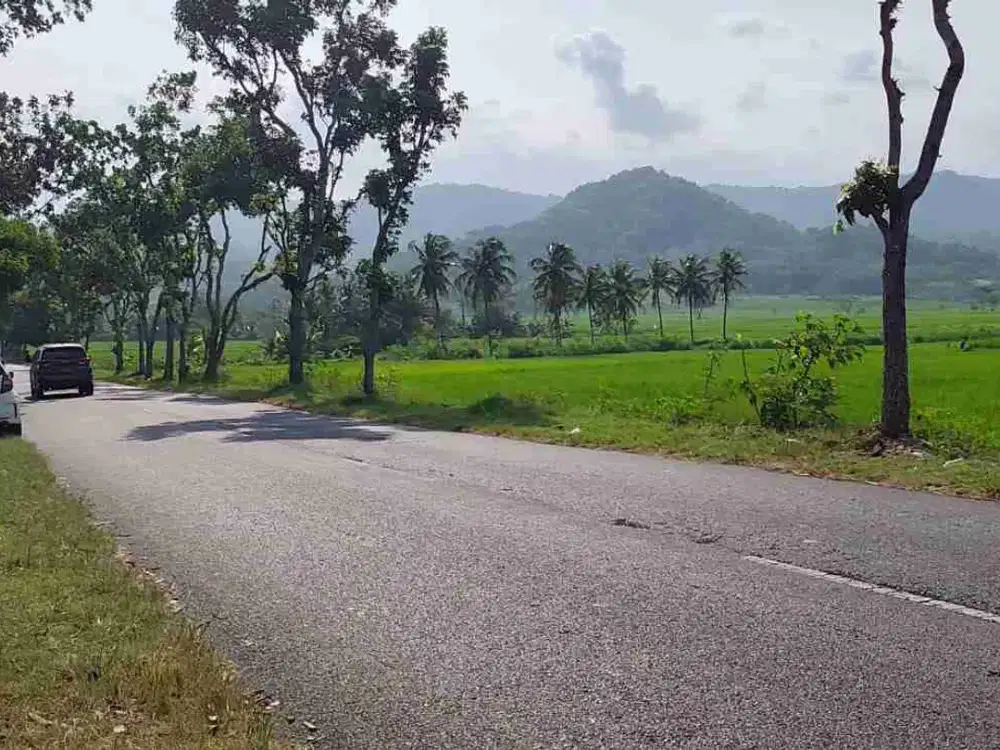 Tanah Dijual view Hamparan Sawah dan perbukitan menoreh di Nanggulan