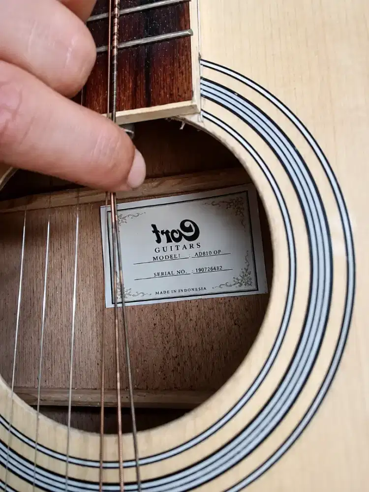 Gitar Cort AD810.
