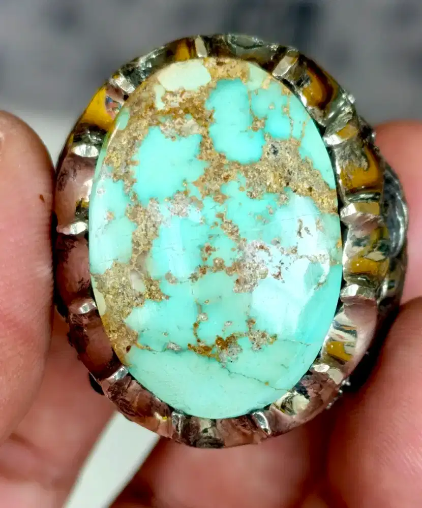 Pirus persia jumbo