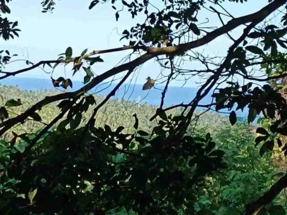Tanah View Laut dan Sungai Jungle dekat Pantai Selabih Tabanan Bali