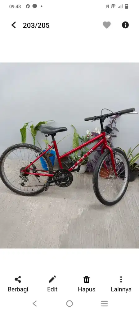 Sepeda gunung perempuan