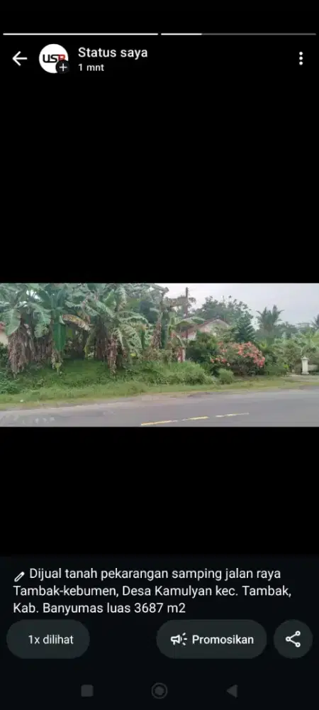 DIJUAL TNH SHM 3.687 m² JALUR UTAMA PROVINSI KAMULYAN TAMBAK, BANYUMAS