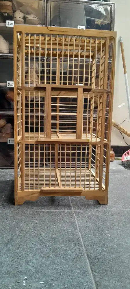 Dondang lepas burung dara