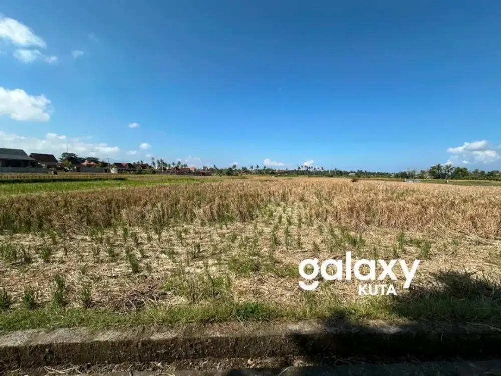 DIJUAL TANAH VIEW SAWAH, DEKAT DENGAN POH GADING WATERFALL DI KEMENUH GIANYAR