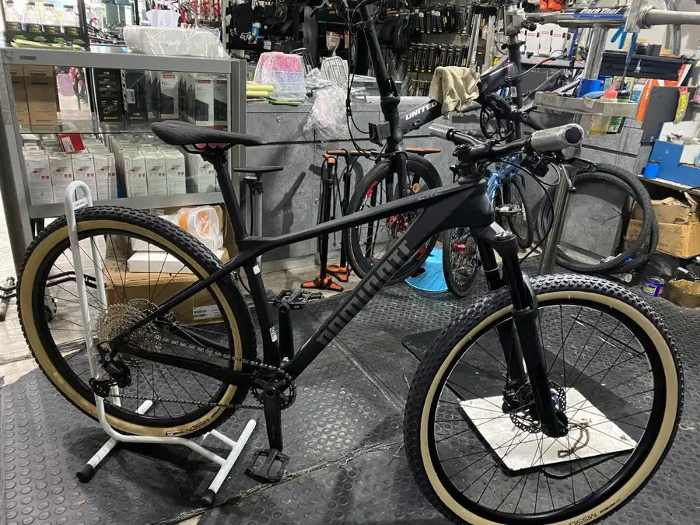 Sepeda MTB Dominate CXC Carbon