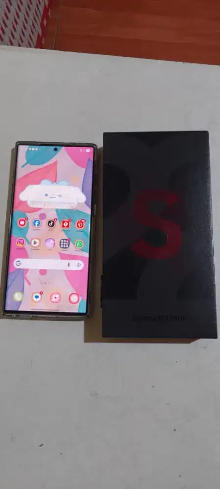 Samsung S 22 Ultra 256
