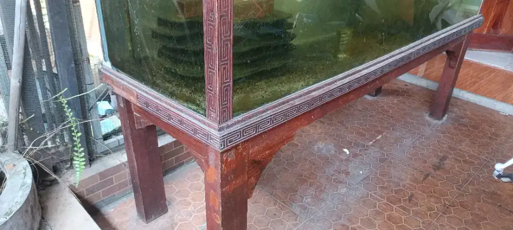 Aquarium bekas obral aja