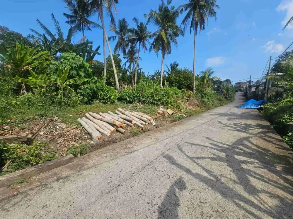 Di jual tanah luas 3 are/300 m2 di Yeh Gangga Tabanan deket pantai yeh Gangga -+10 menit