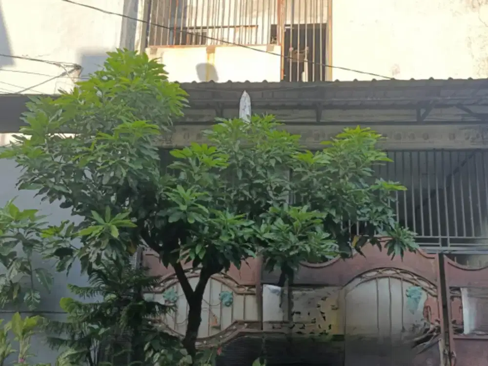 Jual Rumah Medayu Utara Rungkut Surabaya