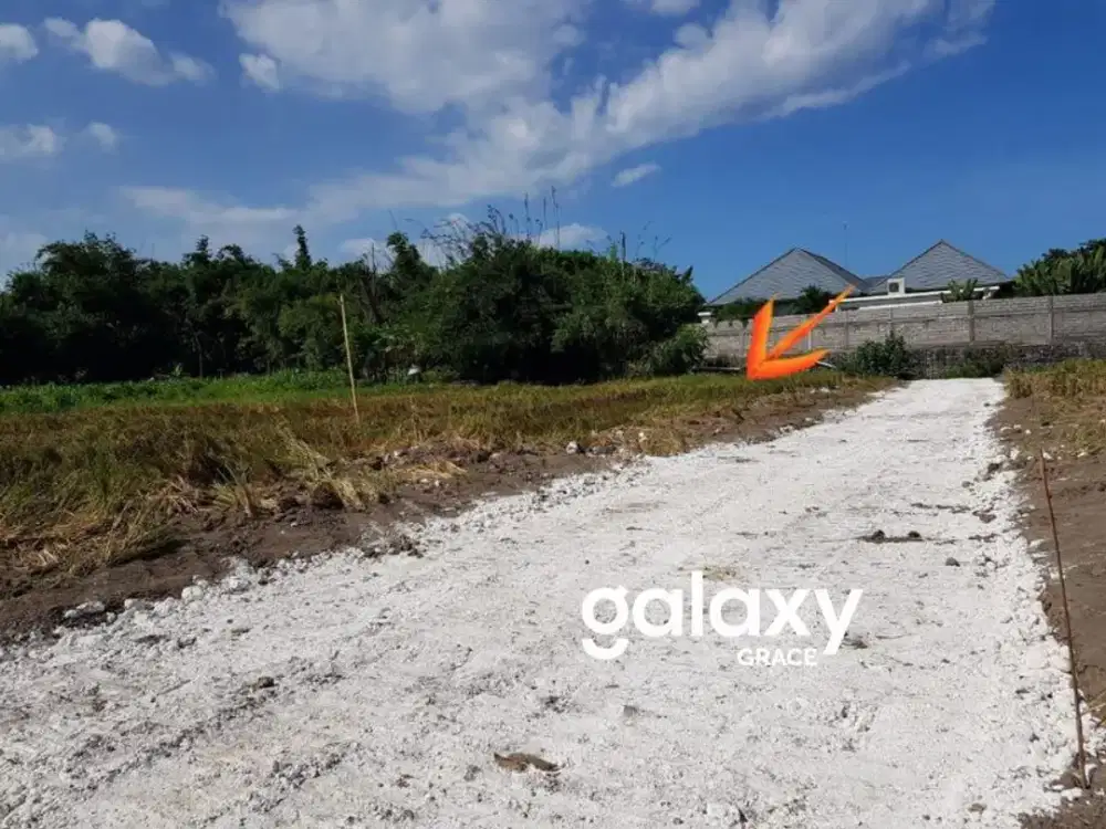 DIJUAL TANAH SUBAK TELAGA KETEWEL GIANYAR