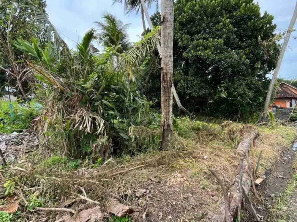 Di jual tanah sawah luas 48.5 are/48500 M2 di kaba-kaba tidak jauh ke arah pantai pererenan